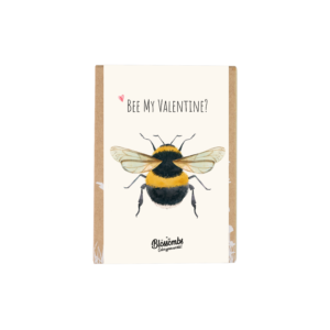 Blossombs Semínkové bomby - Dárková sada mini "Bee my Valentine" - Včelka (4 ks) - udělá radost vám i přírodě