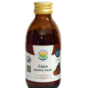 Salvia Paradise Rezavec šikmý - Čaga (120 kapslí) - síla tradiční funkční houby