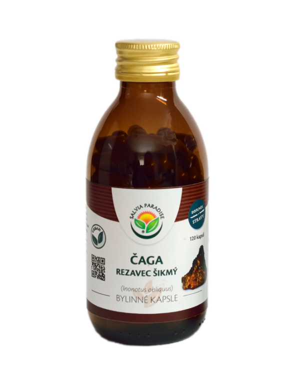 Salvia Paradise Rezavec šikmý - Čaga (120 kapslí) - síla tradiční funkční houby