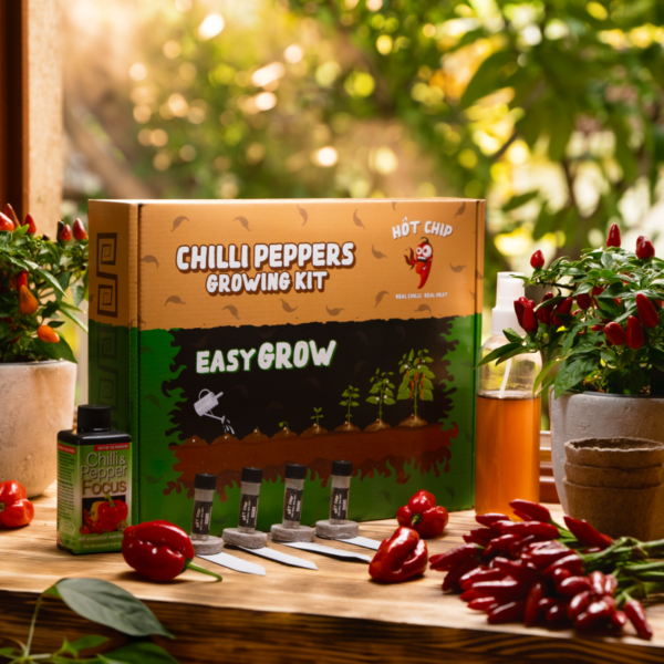 Dárková sada na pěstování chilli papriček - Easy Grow - Image 3