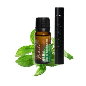 Natasha Sada Difuzér do auta + olej Mint Mint - včetně 3 bavlněných polštářků