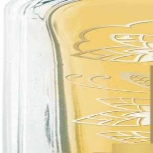 SO’BiO étic Précieux Argan Pěstící olej na tělo, tvář i vlasy BIO (100 ml) - elixír mládí a krásy