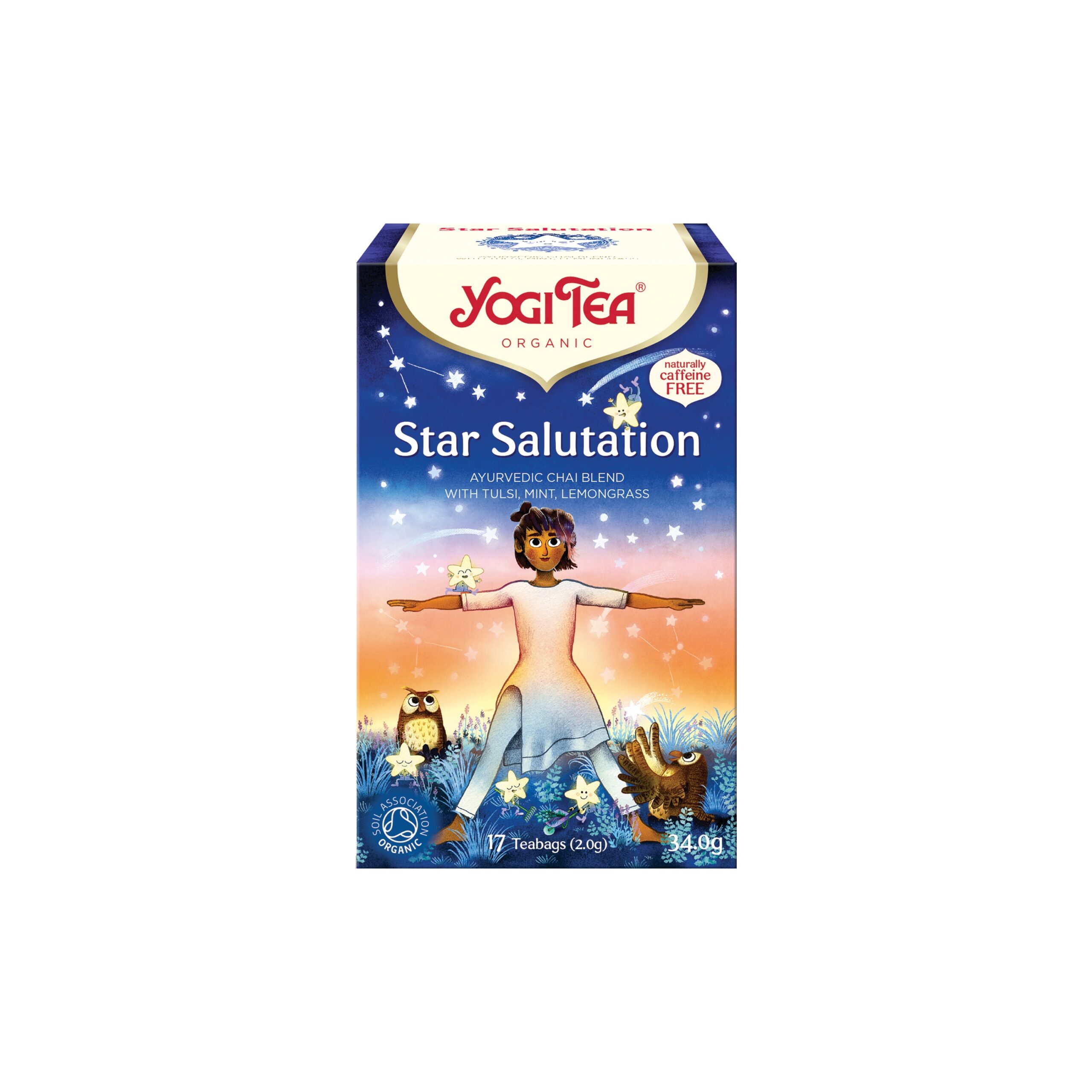 Čaj Pozdrav hvězdám 17 sáčků 32,3 g BIO   YOGI TEA