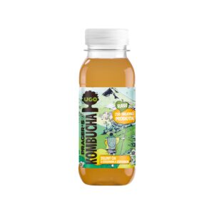 Kombucha zelený čaj s citrónem a zázvorem 250 ml   UGO